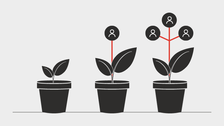 Illustration der Lead-Pflege