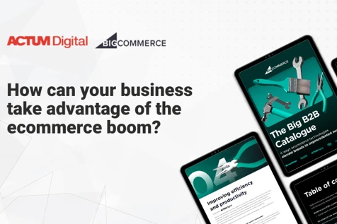 Visualization of Big B2B Catalogue